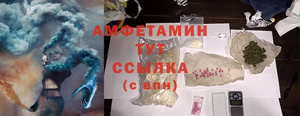индика Иннополис