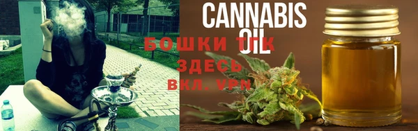 spice Инта