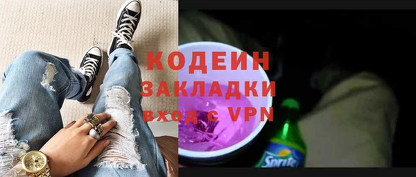 индика Иннополис