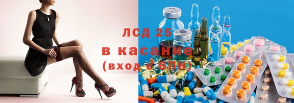 2c-b Инсар