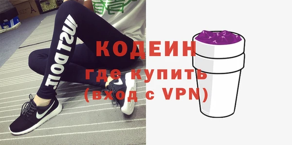 2c-b Инсар