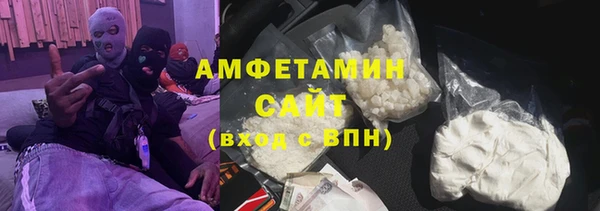 spice Инта