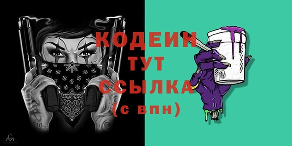 индика Иннополис