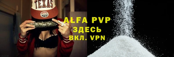 индика Иннополис