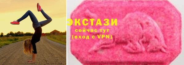 spice Инта