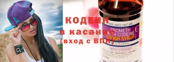 spice Инта