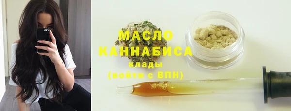 2c-b Инсар