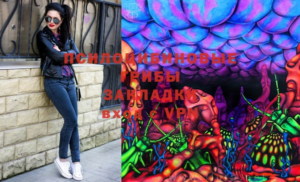 spice Инта