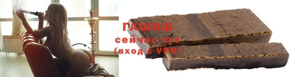 spice Инта