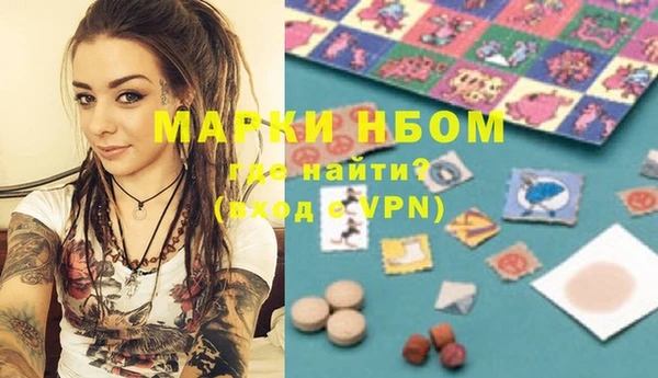 spice Инта