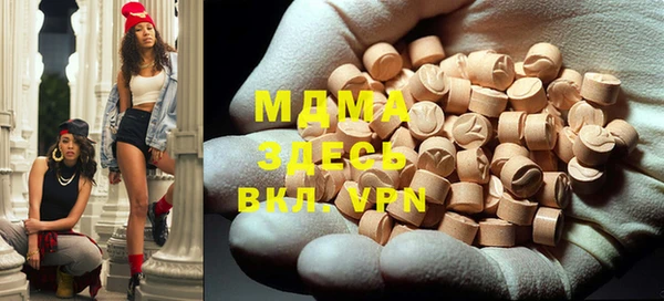 spice Инта