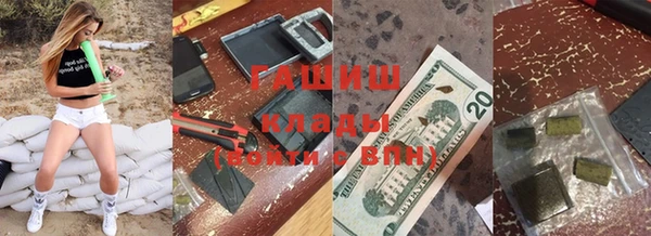 2c-b Инсар