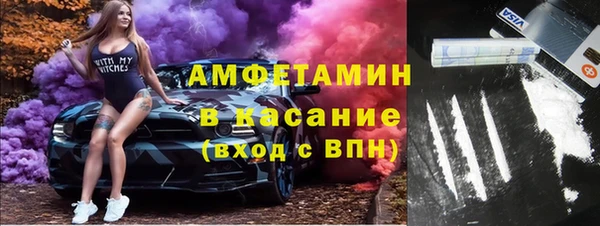 spice Инта