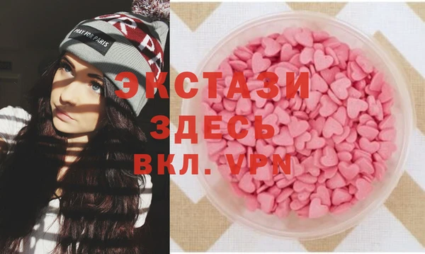 spice Инта