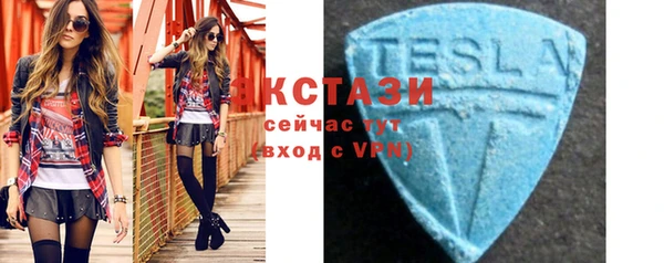 spice Инта