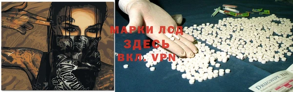2c-b Инсар