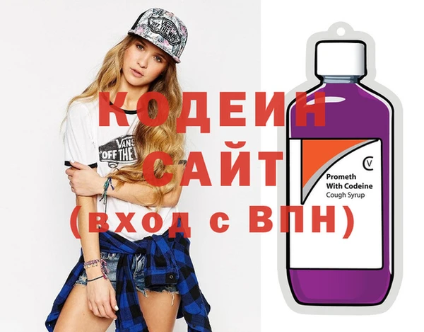 spice Инта