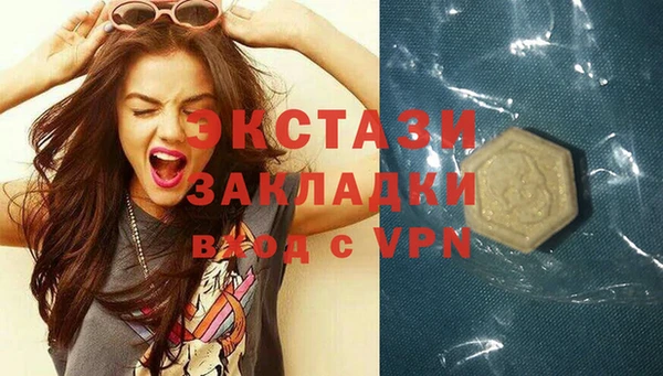 индика Иннополис