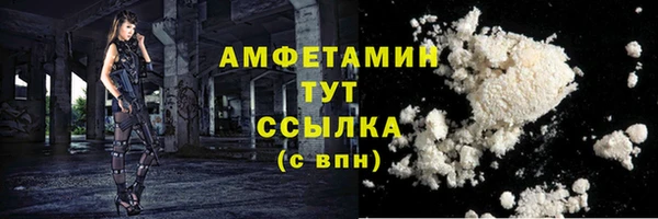 индика Иннополис