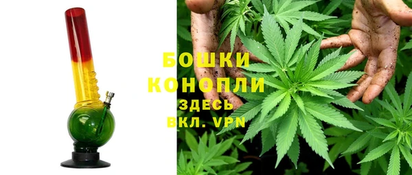 spice Инта