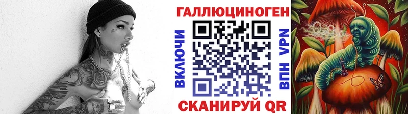 где продают   Лагань  Псилоцибиновые грибы Magic Shrooms 
